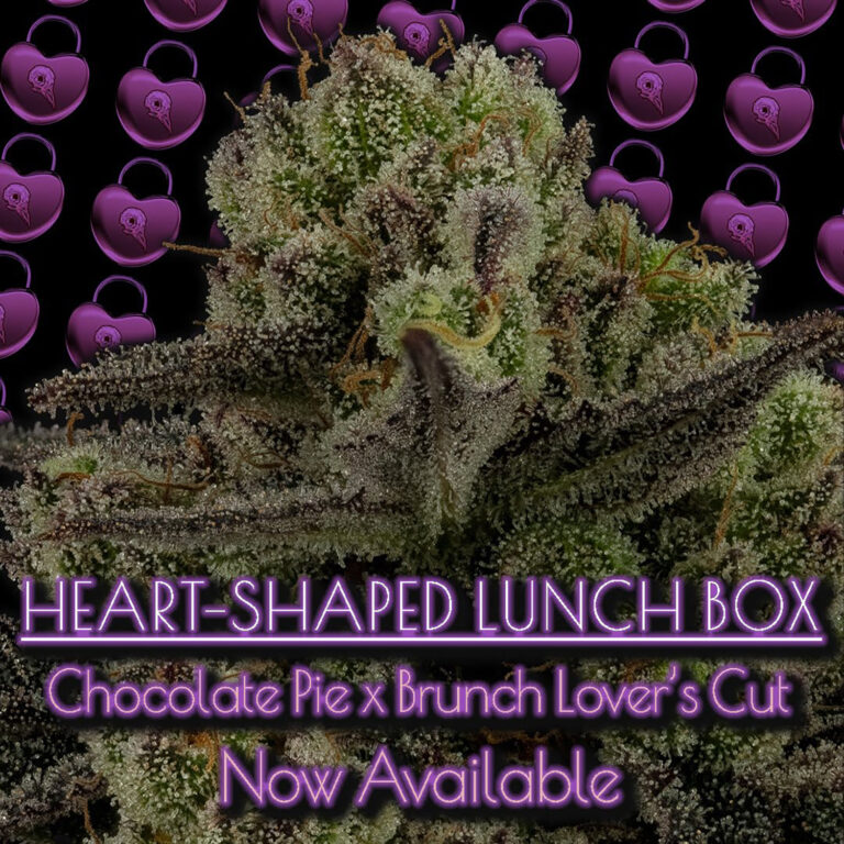 Heart Shaped Lunchbox