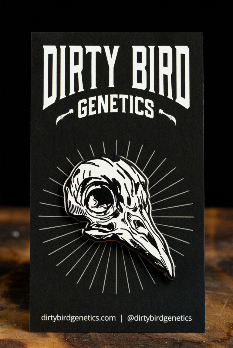Dirty Bird Skull Pin
